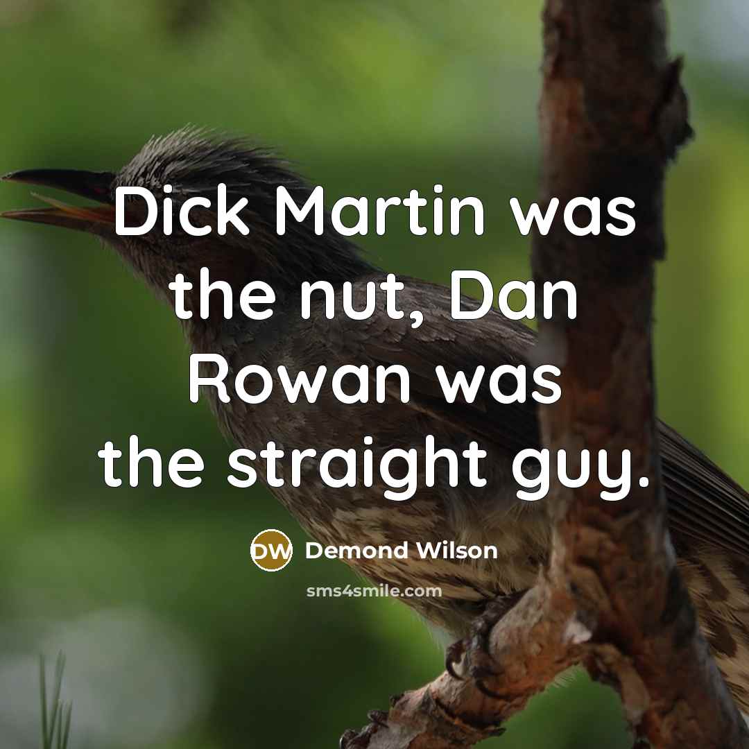 “Dick Martin was the nut, Dan Rowan was the straight…” quote by Demond Wilson