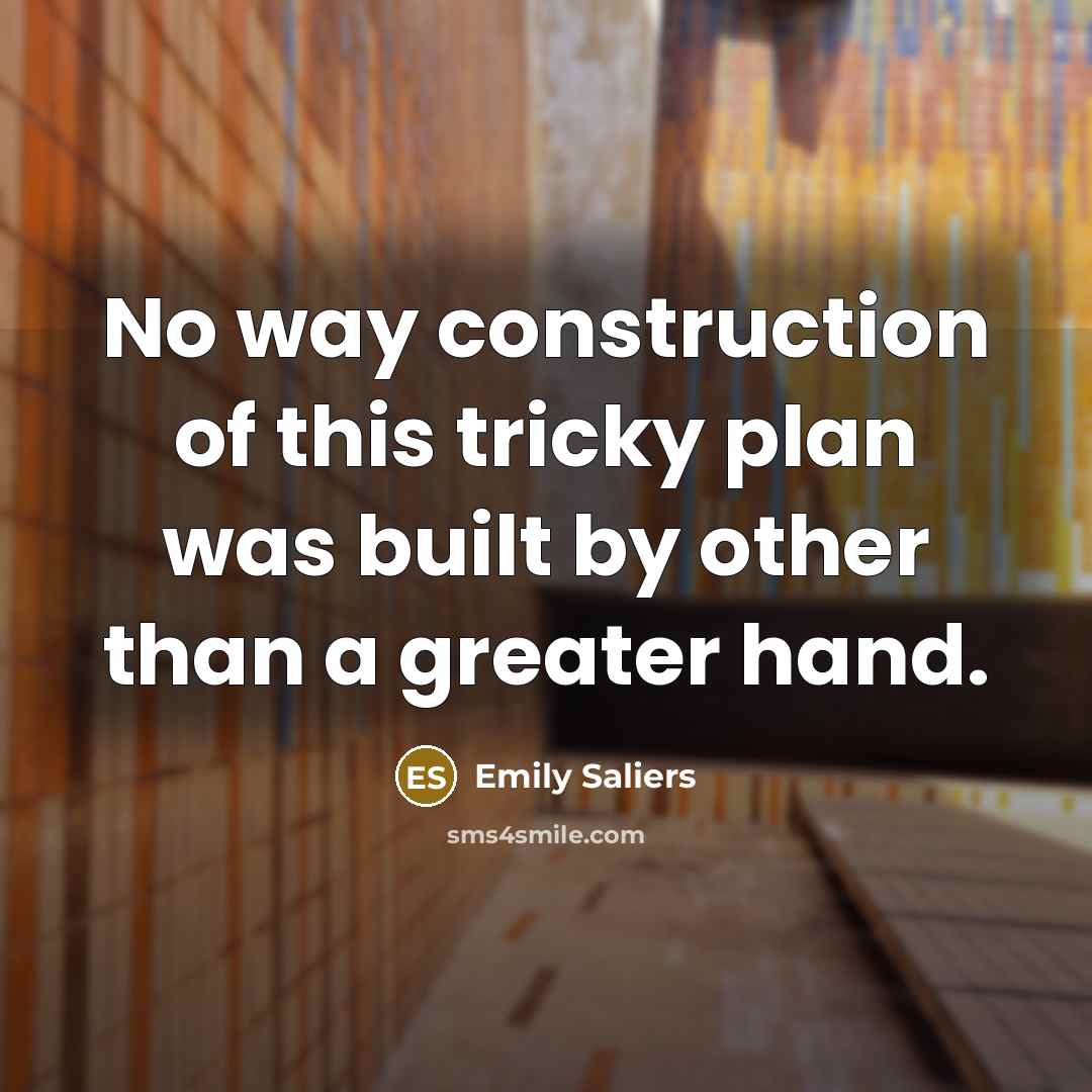 “No way construction of this tricky plan was built by…” quote by Emily Saliers