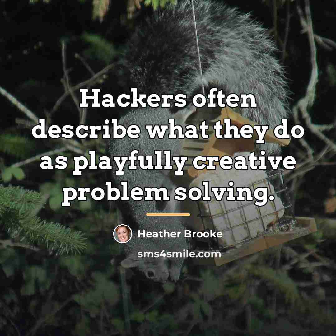 “Hackers often describe what they do as playfully creative problem…” quote by Heather Brooke