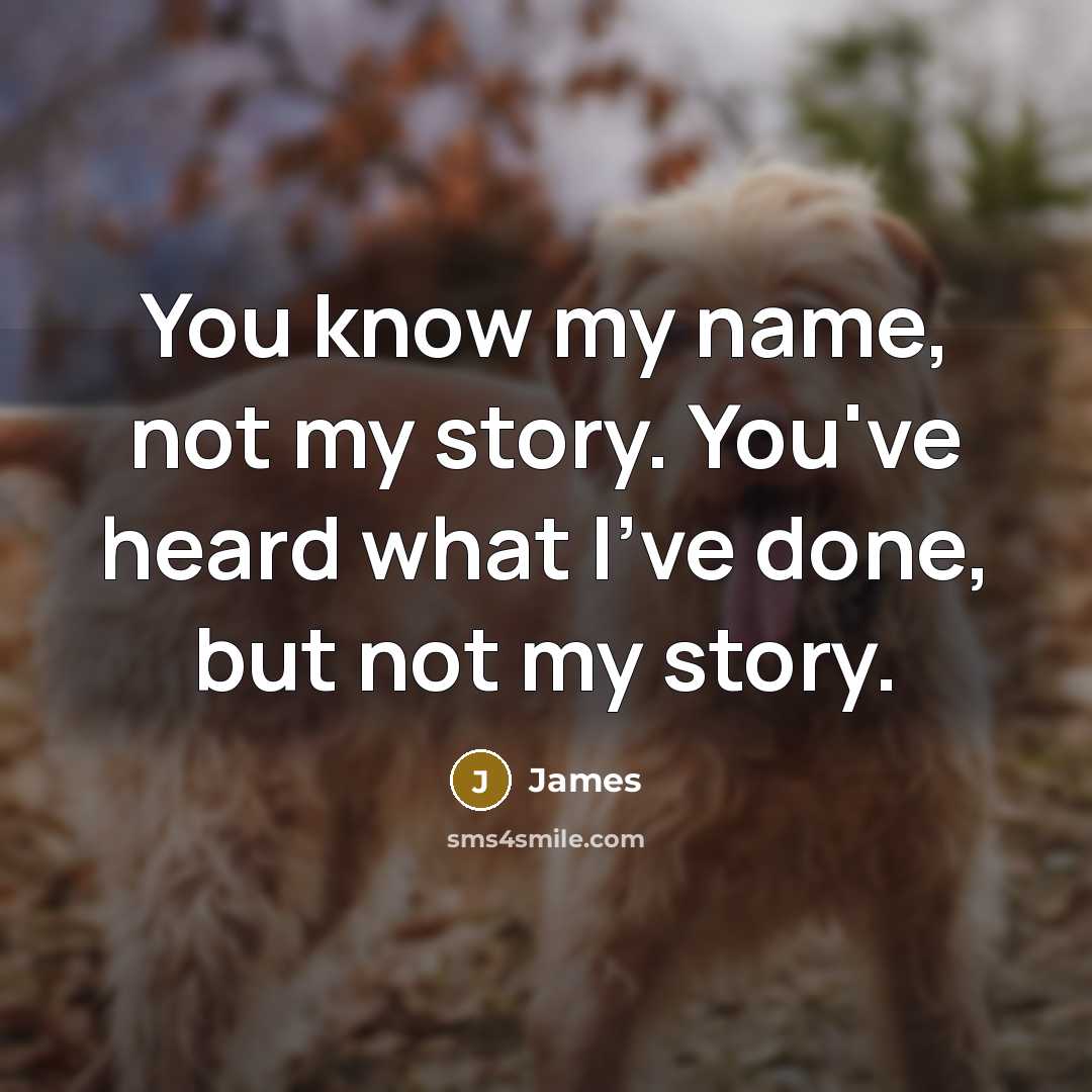 “You know my name, not my story. You've heard what I've done, but not my story.” quote by James