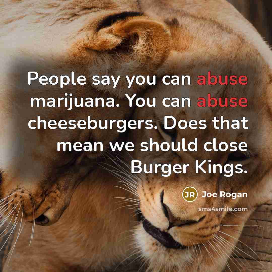 “People say you can abuse marijuana. You can abuse cheeseburgers.…” quote by Joe Rogan