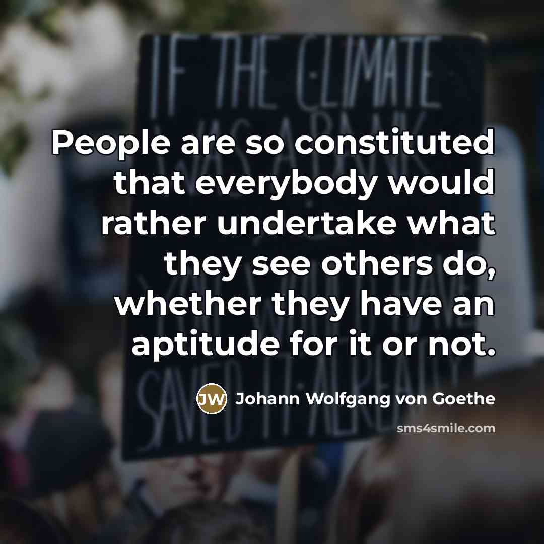 “People are so constituted that everybody would rather undertake what…” quote by Johann Wolfgang von Goethe