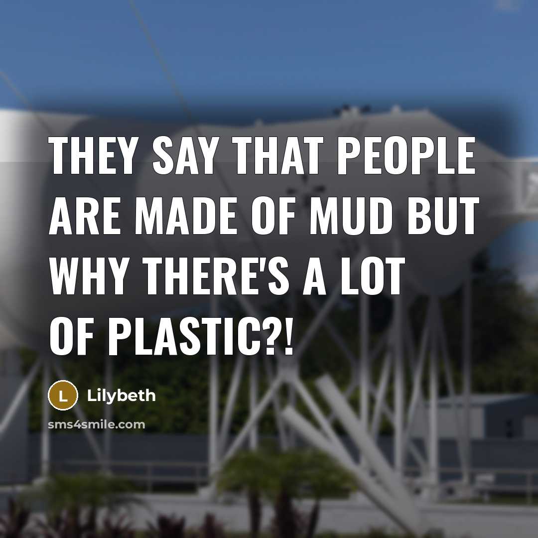 “They say that people are made of mud but why…” quote by Lilybeth