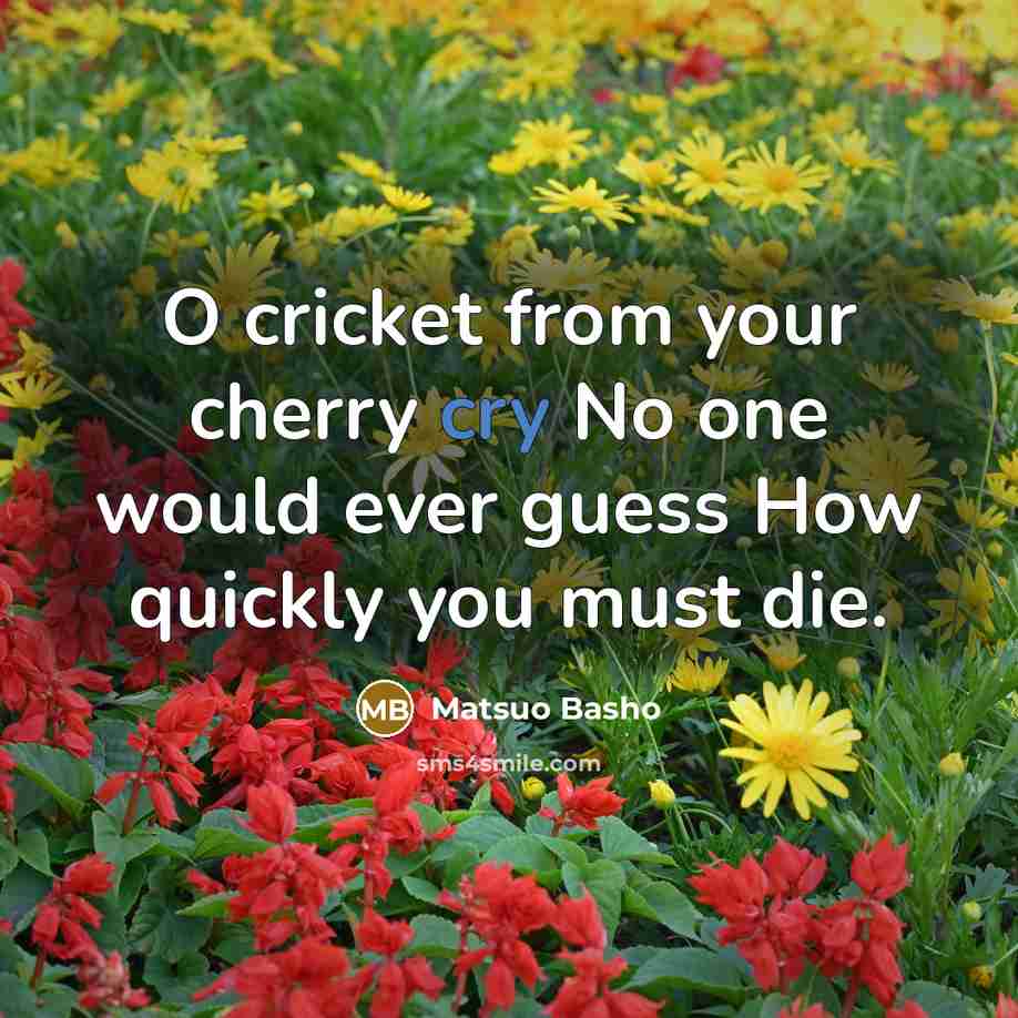 “O cricket from your cherry cry No one would ever…” quote by Matsuo Basho