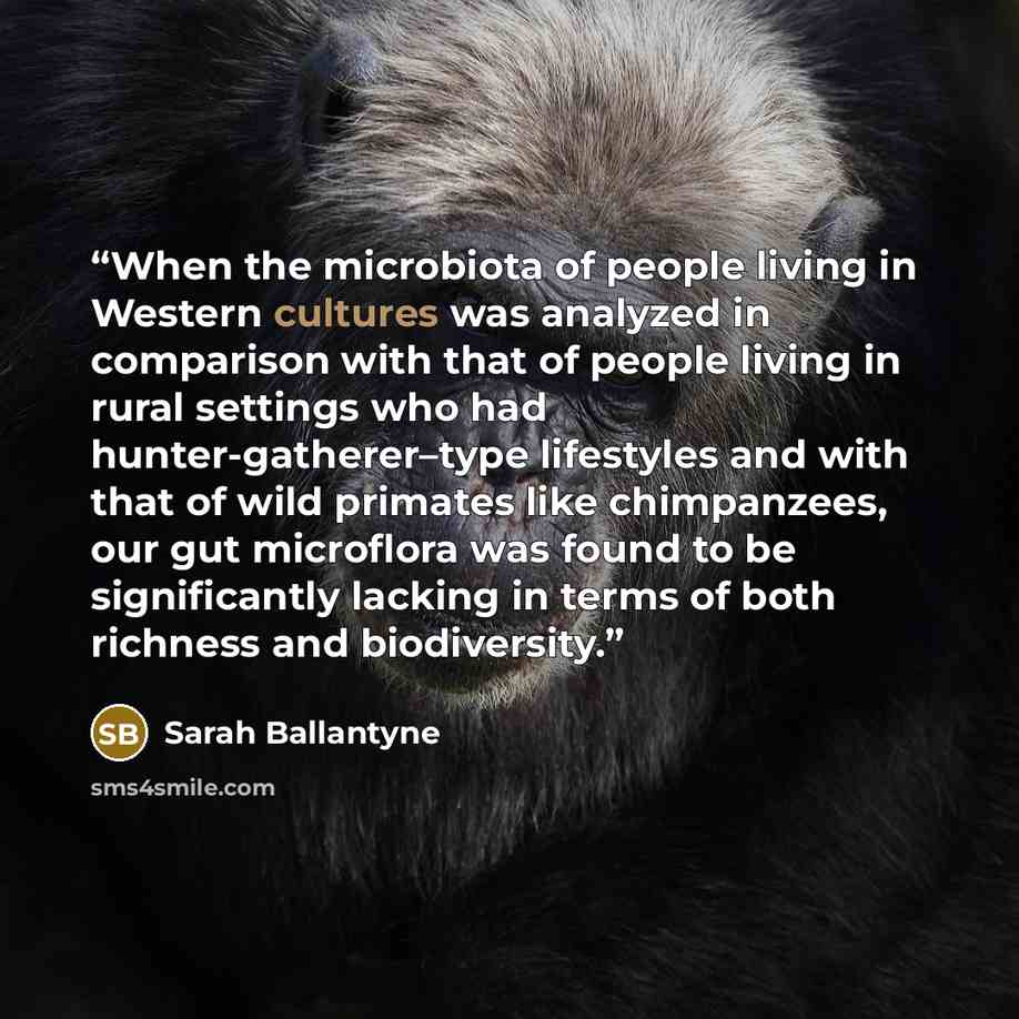 “When the microbiota of people living in Western cultures was analyzed in comparison with that of people living in rural settings who had hunter-gatherer–type lifestyles and with that of wild primates like chimpanzees, our gut microflora was found to be significantly lacking in terms of both…” quote by Sarah Ballantyne