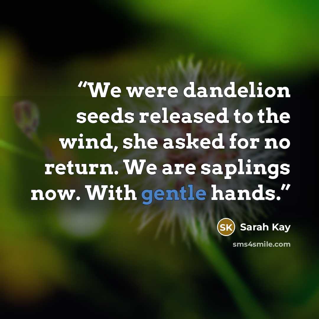 “We were dandelion seeds released to the wind, she asked for no return. We are saplings now. With gentle hands.” quote by Sarah Kay