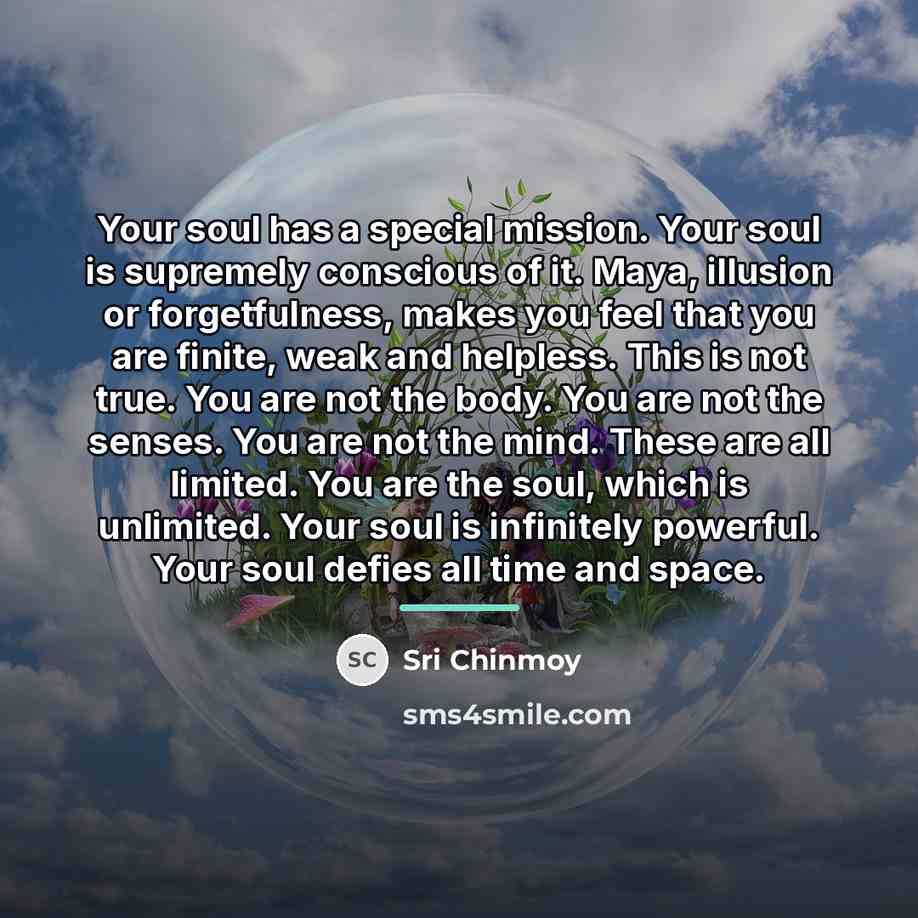 “Your soul has a special mission. Your soul is supremely…” quote by Sri Chinmoy