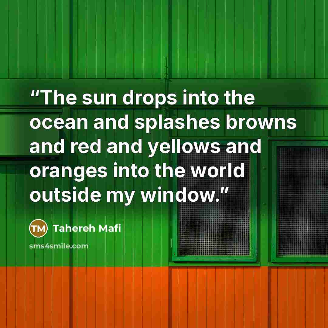 “The sun drops into the ocean and splashes browns and red and yellows and oranges into the world outside my window.” quote by Tahereh Mafi