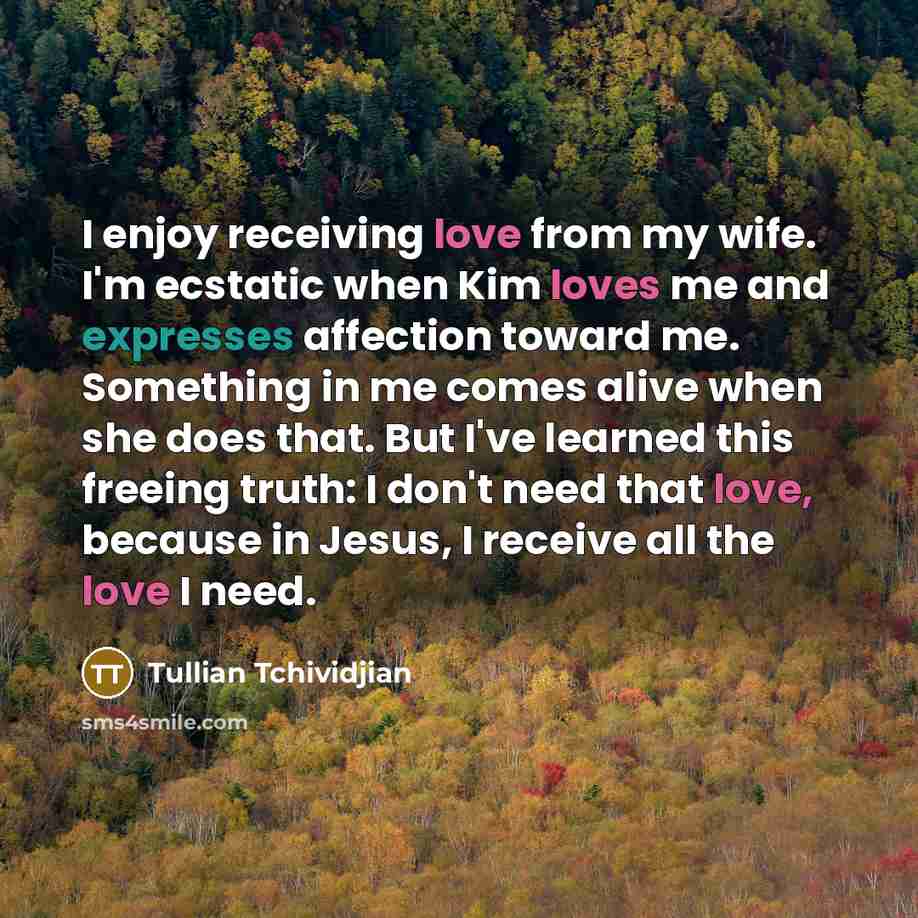 “I enjoy receiving love from my wife. I'm ecstatic when…” quote by Tullian Tchividjian