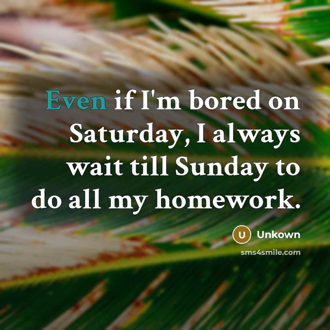 “Even if I'm bored on Saturday, I always wait till Sunday to do all my homework.” quote by Unkown