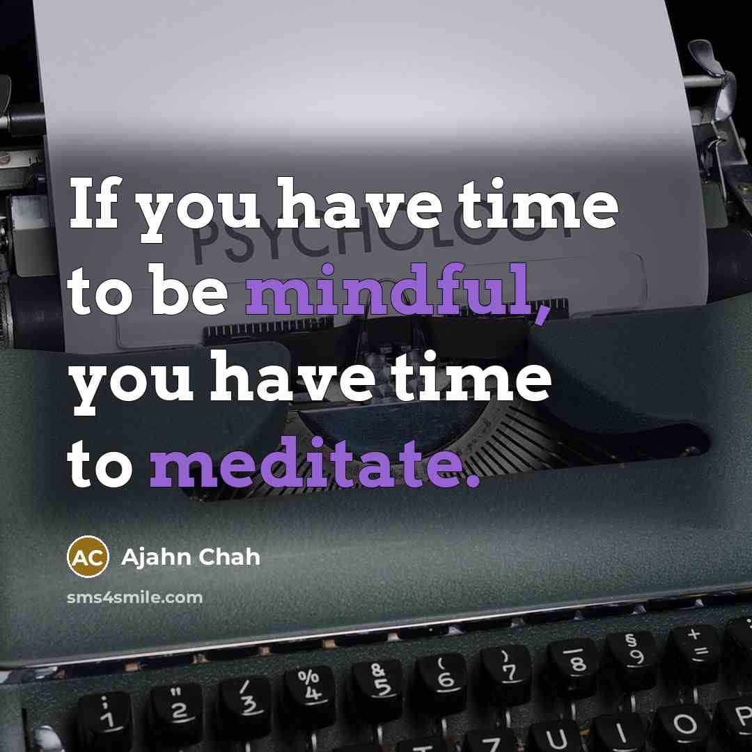 “If you have time to be mindful, you have time to meditate.” quote by Ajahn Chah