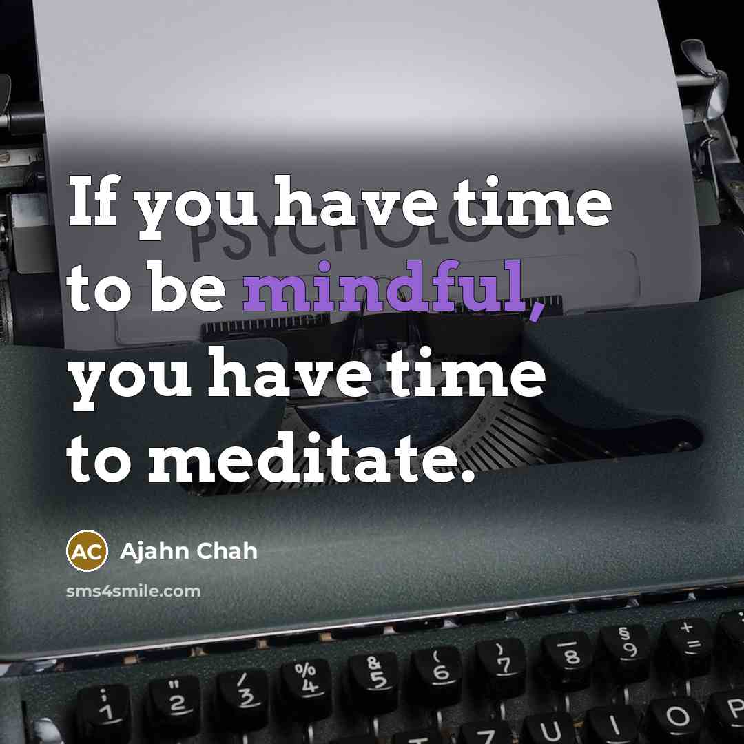 “If you have time to be mindful, you have time…” quote by Ajahn Chah
