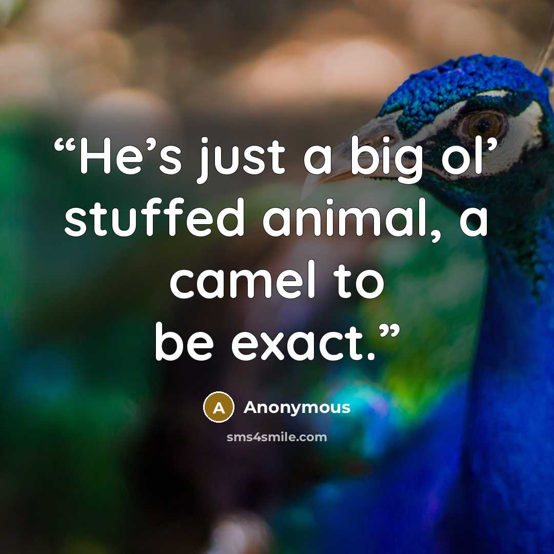 “He’s just a big ol’ stuffed animal, a camel to be exact.” quote by Anonymous