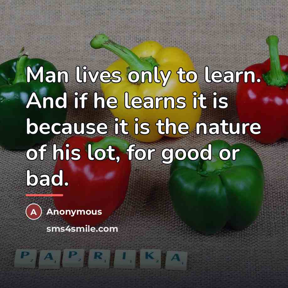 “Man lives only to learn. And if he learns it…” quote by Anonymous