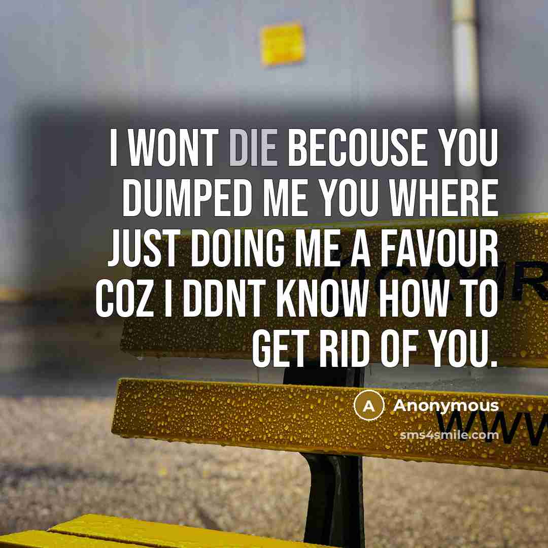 “I wont die becouse you dumped me you where just doing me a favour coz I ddnt know how to get rid of you.” quote by Anonymous
