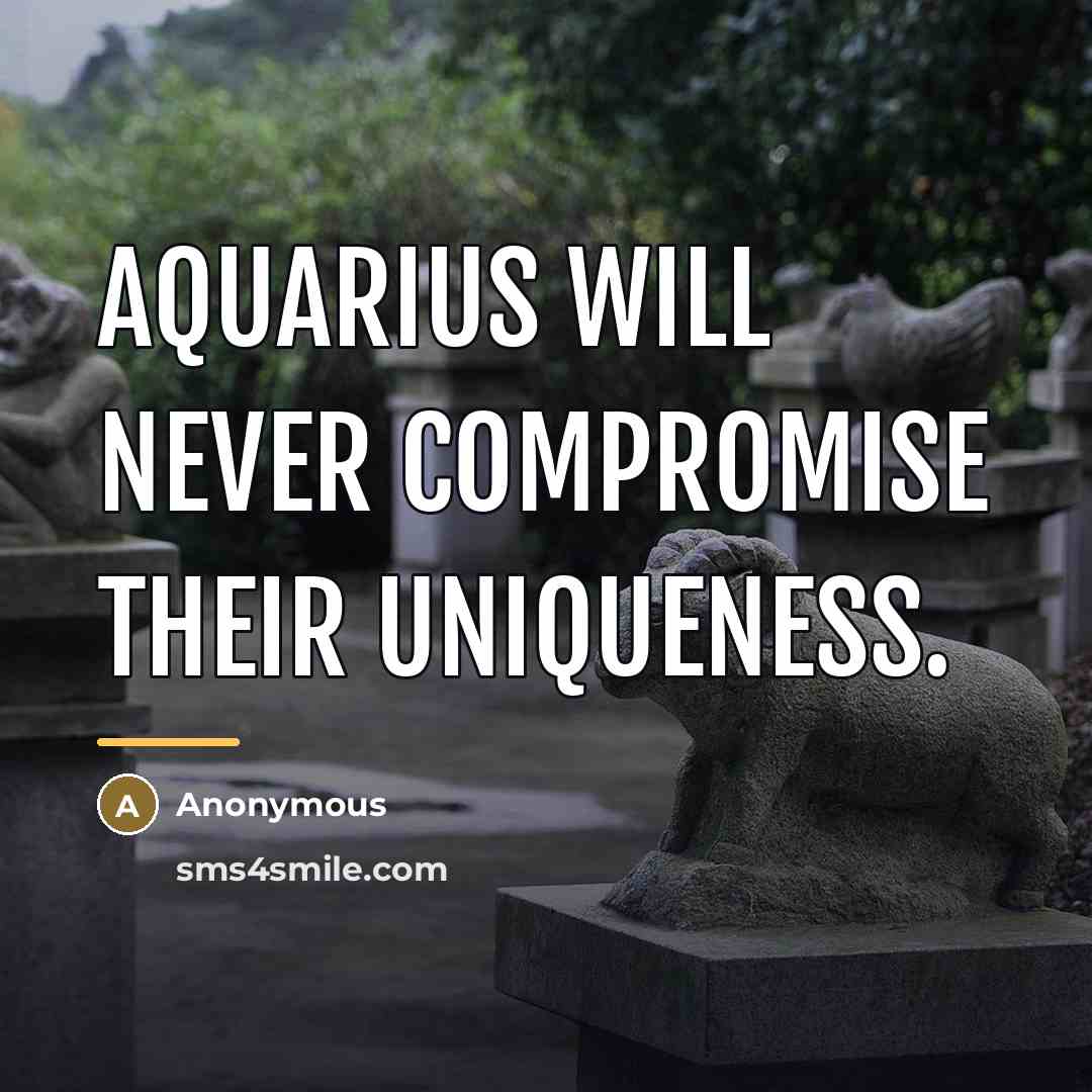 “Aquarius will never compromise their uniqueness.…” quote by Anonymous