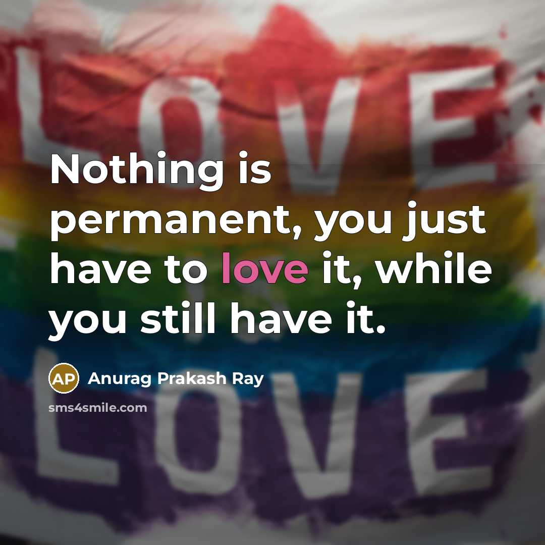 “Nothing is permanent, you just have to love it, while…” quote by Anurag Prakash Ray
