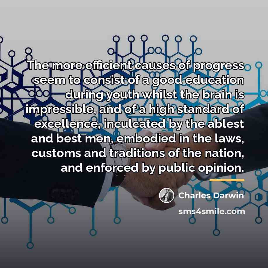 “The more efficient causes of progress seem to consist of…” quote by Charles Darwin
