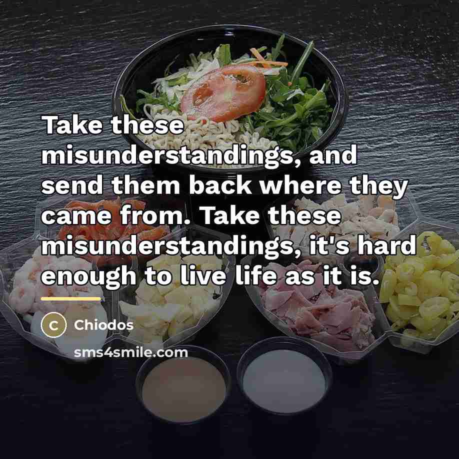“Take these misunderstandings, and send them back where they came…” quote by Chiodos