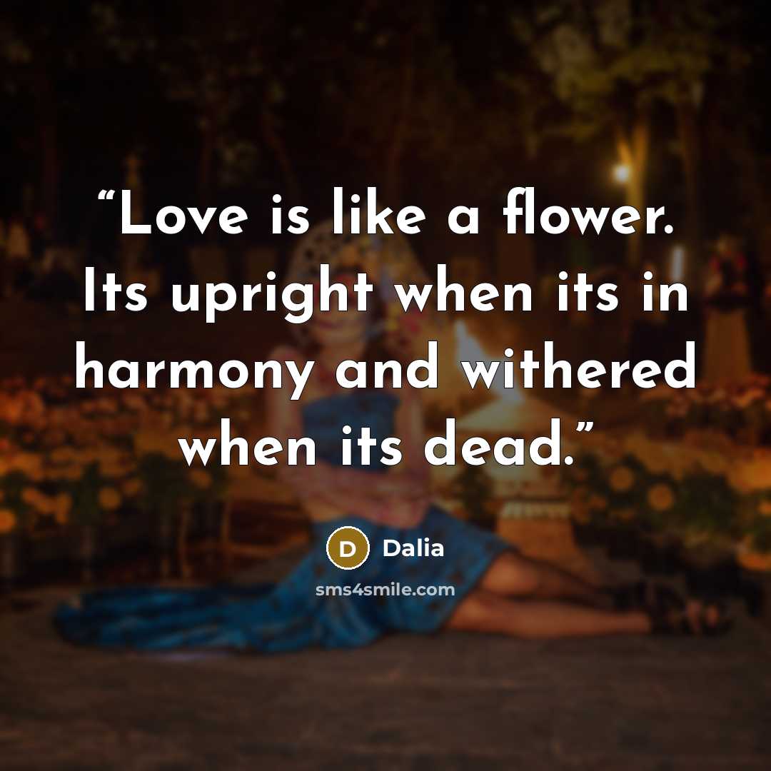 “Love is like a flower. Its upright when its in harmony and withered when its dead.” quote by Dalia