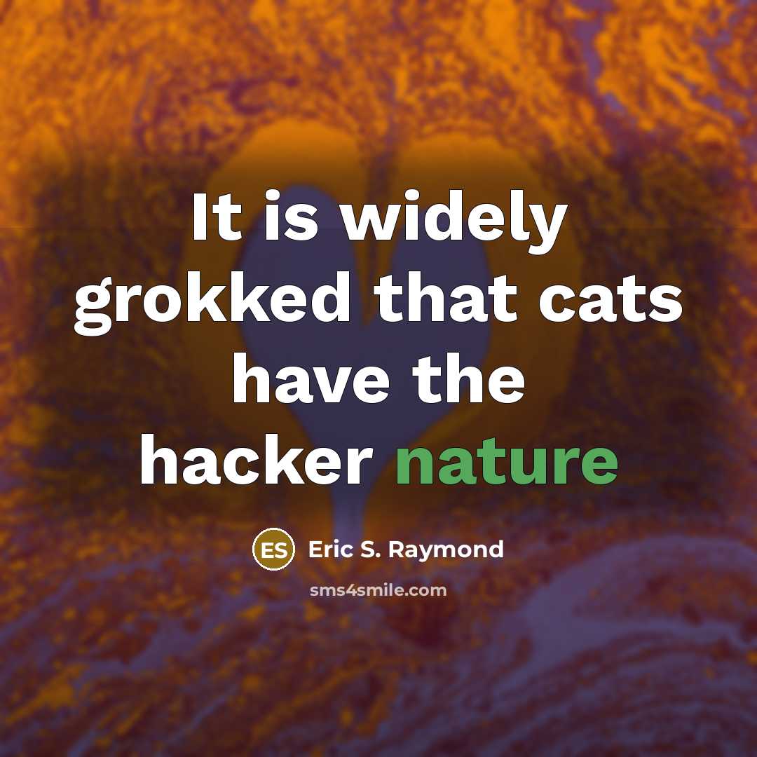 “It is widely grokked that cats have the hacker nature…” quote by Eric S. Raymond