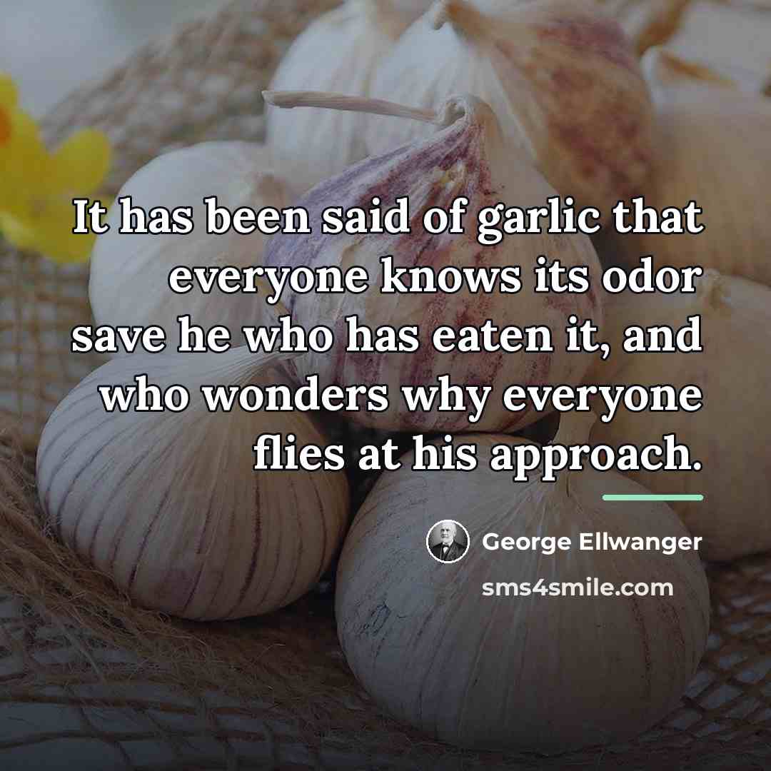 “It has been said of garlic that everyone knows its…” quote by George Ellwanger