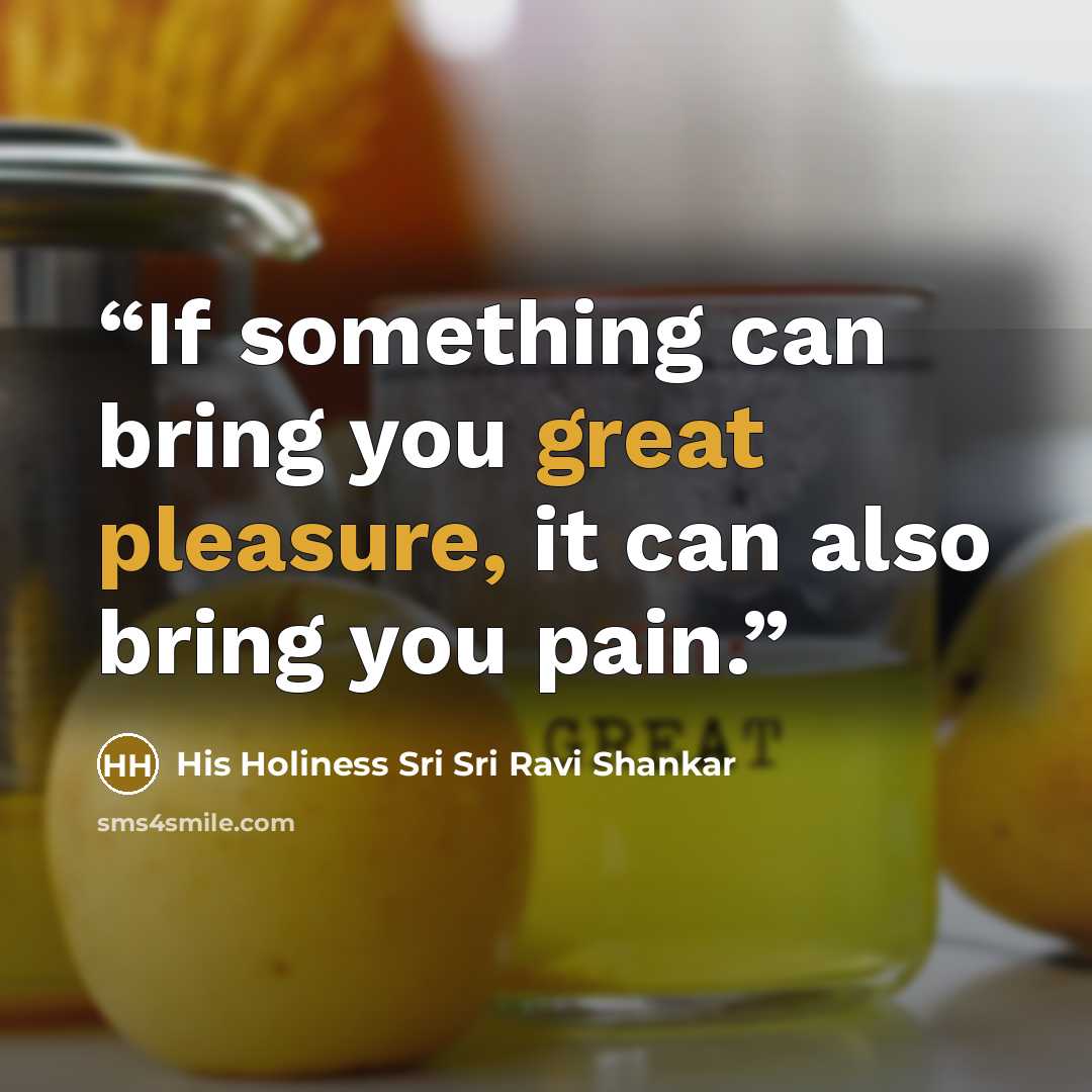 “If something can bring you great pleasure, it can also bring you pain.” quote by His Holiness Sri Sri Ravi Shankar