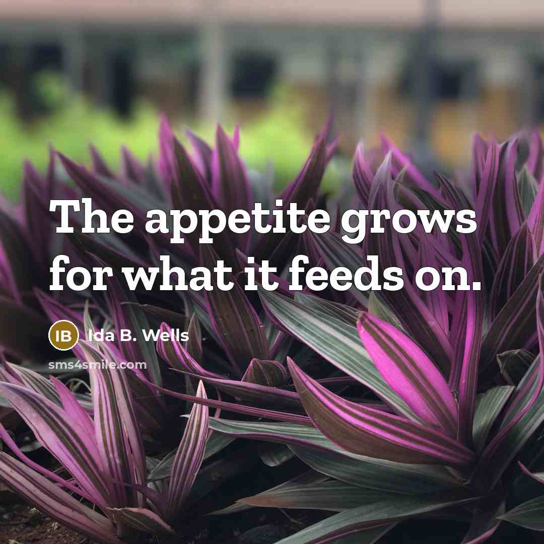 “The appetite grows for what it feeds on.…” quote by Ida B. Wells
