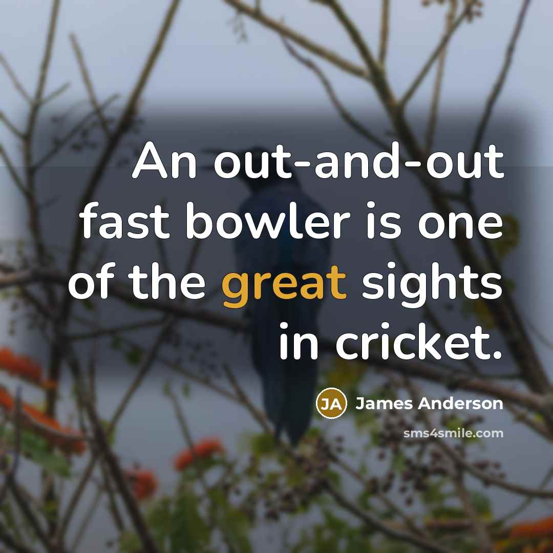 “An out-and-out fast bowler is one of the great sights…” quote by James Anderson