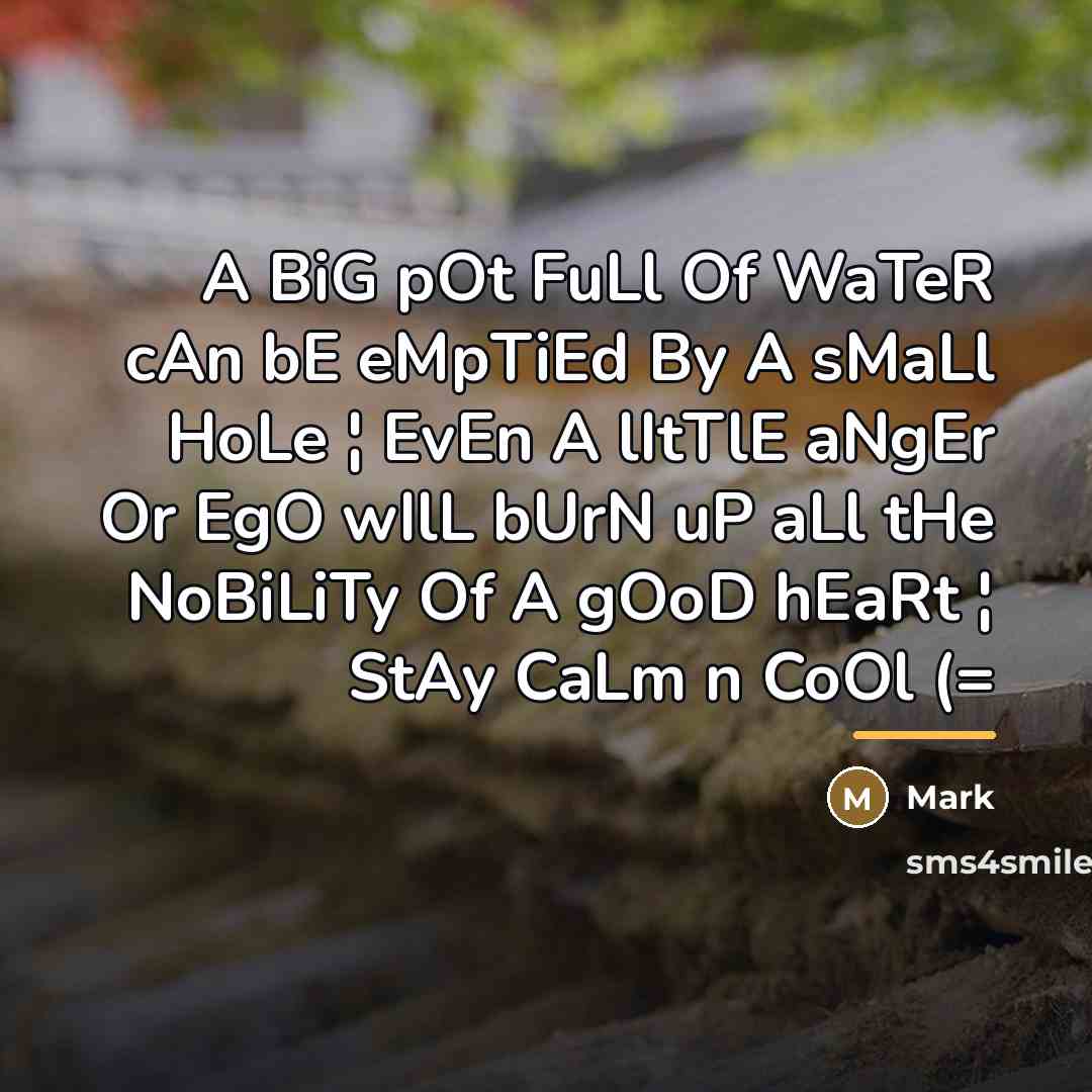 “A BiG pOt FuLl Of WaTeR cAn bE eMpTiEd By…” quote by Mark