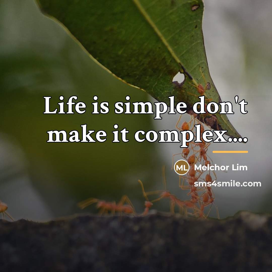 “Life is simple don't make it complex....…” quote by Melchor Lim