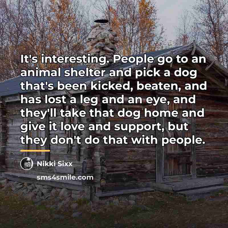 “It's interesting. People go to an animal shelter and pick…” quote by Nikki Sixx