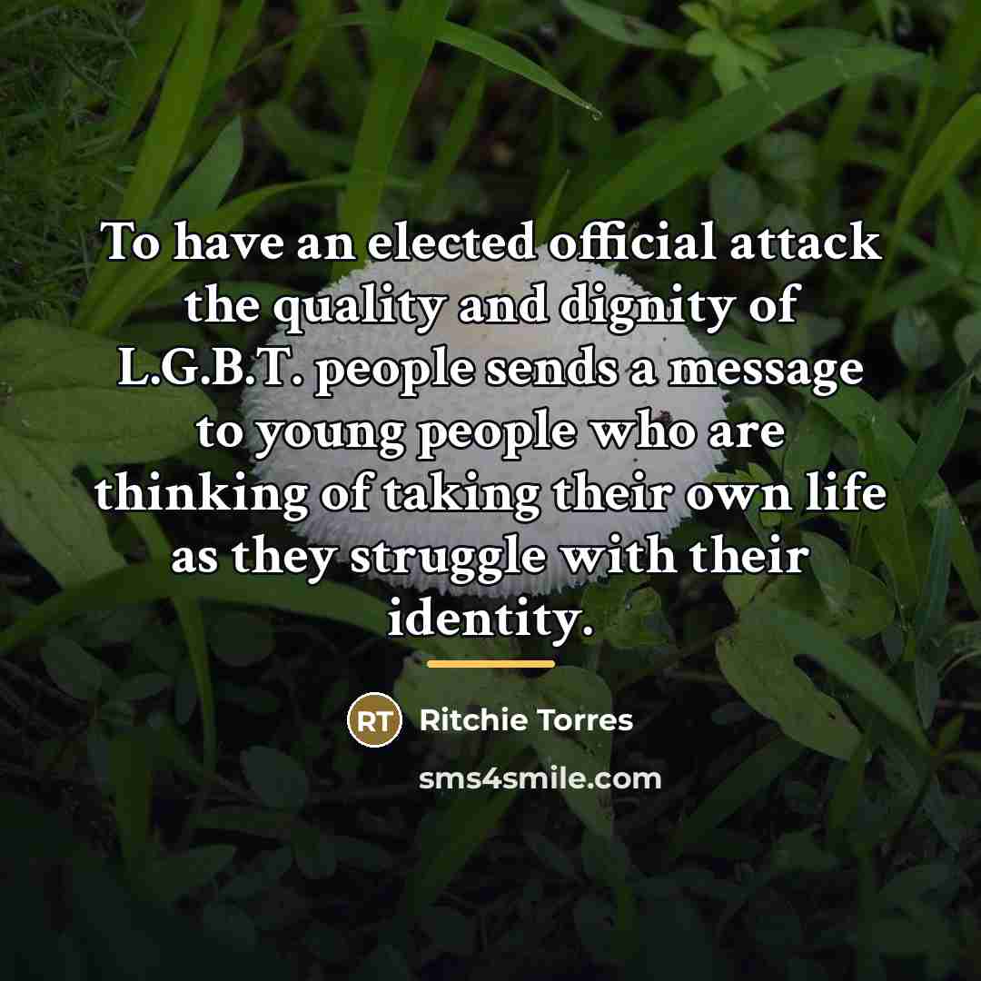 “To have an elected official attack the quality and dignity…” quote by Ritchie Torres