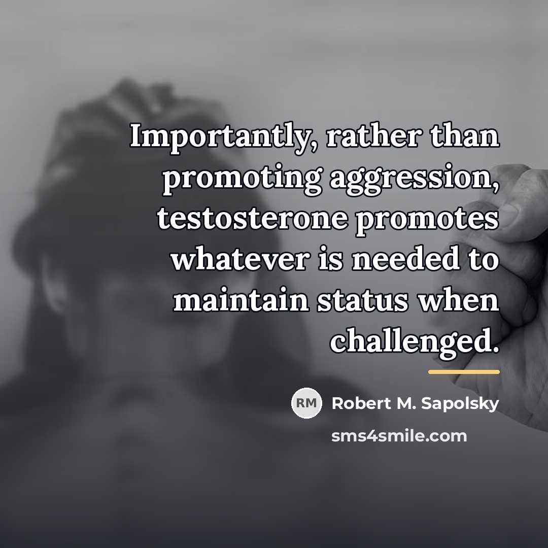 “Importantly, rather than promoting aggression, testosterone promotes whatever is needed…” quote by Robert M. Sapolsky