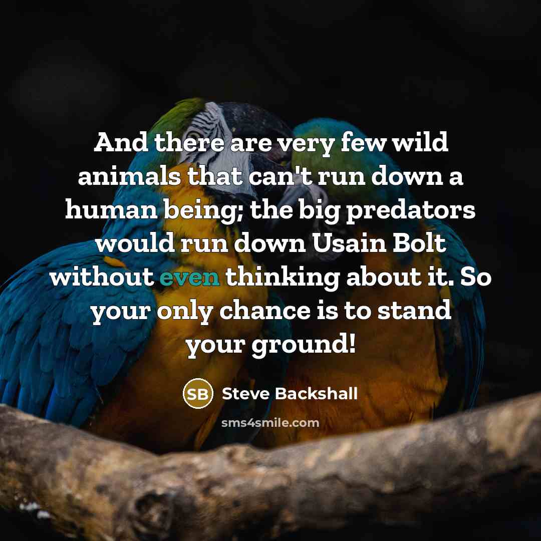 “And there are very few wild animals that can't run down a human being; the big predators would run down Usain Bolt without even thinking about it. So your only chance is to stand your ground!” quote by Steve Backshall
