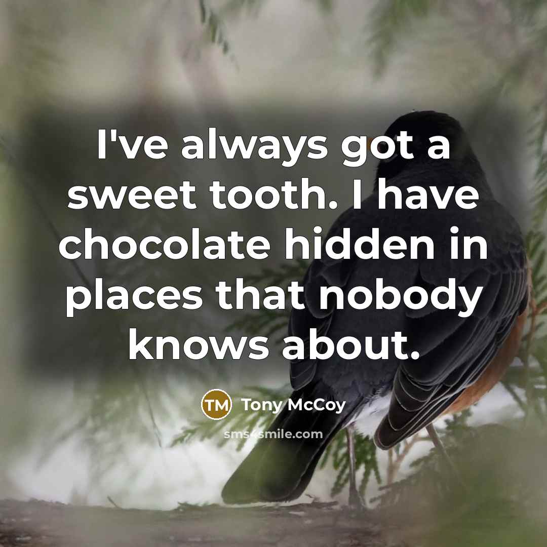 “I've always got a sweet tooth. I have chocolate hidden…” quote by Tony McCoy