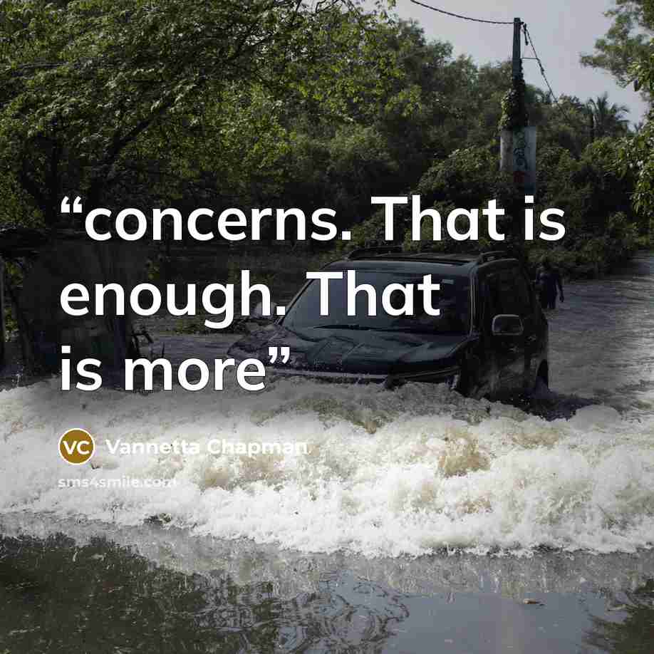“concerns. That is enough. That is more” quote by Vannetta Chapman