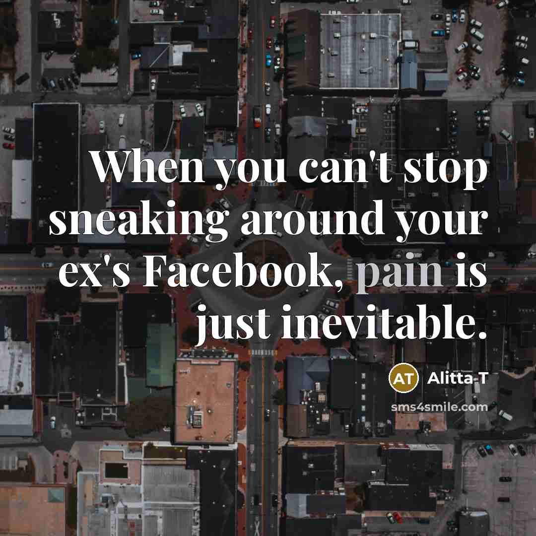 “When you can't stop sneaking around your ex's Facebook, pain is just inevitable.” quote by Alitta T