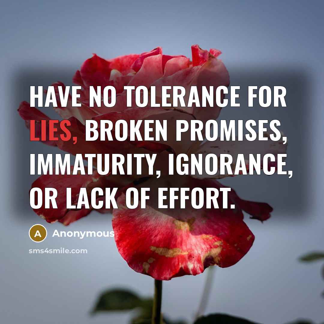 “Have NO tolerance for lies, broken promises, immaturity, ignorance, or…” quote by Anonymous