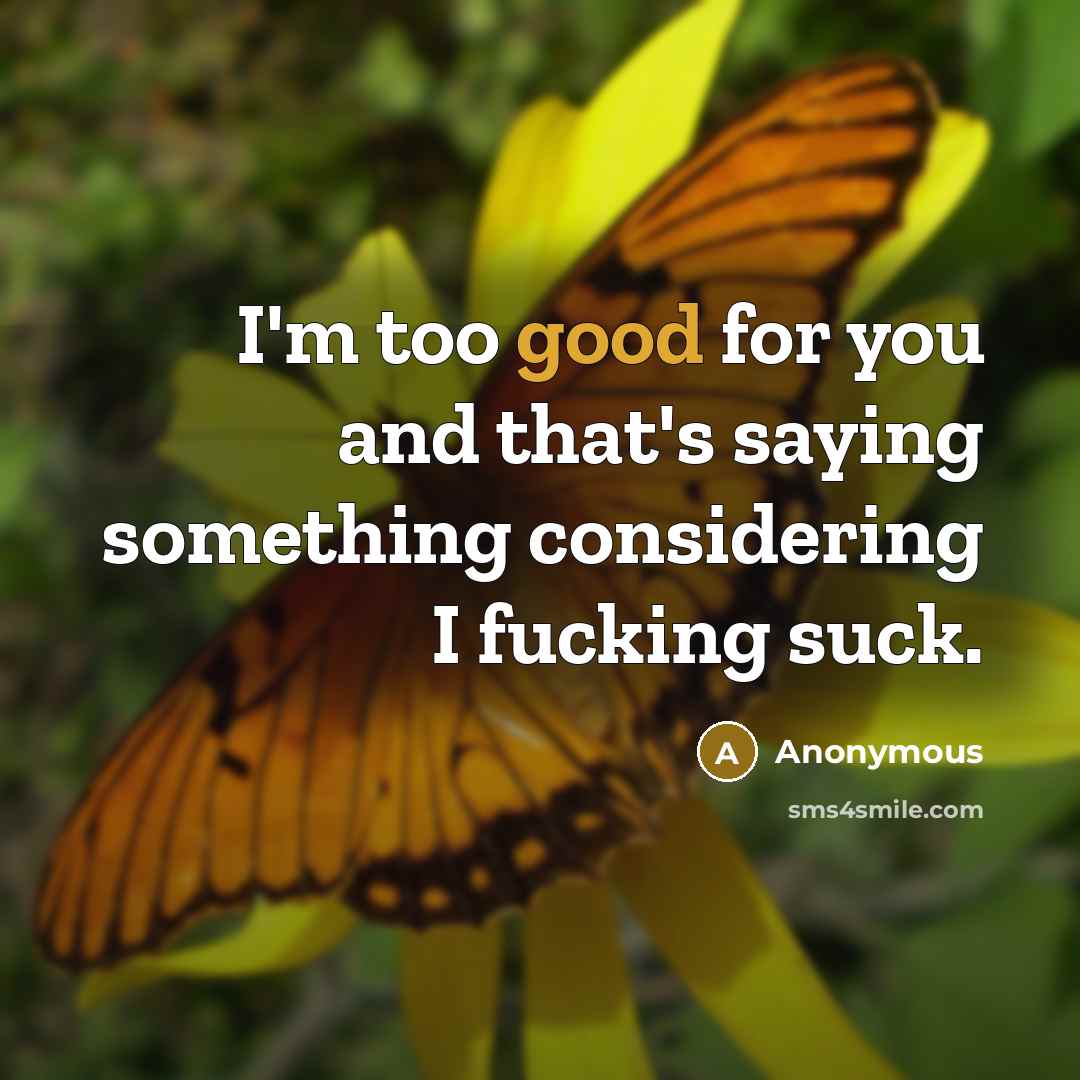 “I'm too good for you and that's saying something considering I fucking suck.” quote by Anonymous