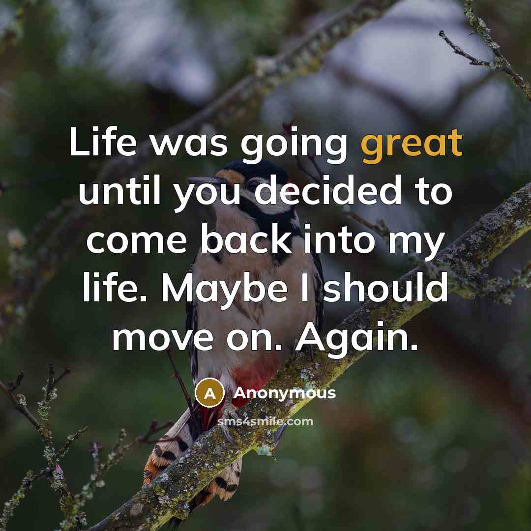 “Life was going great until you decided to come back into my life. Maybe I should move on. Again.” quote by Anonymous