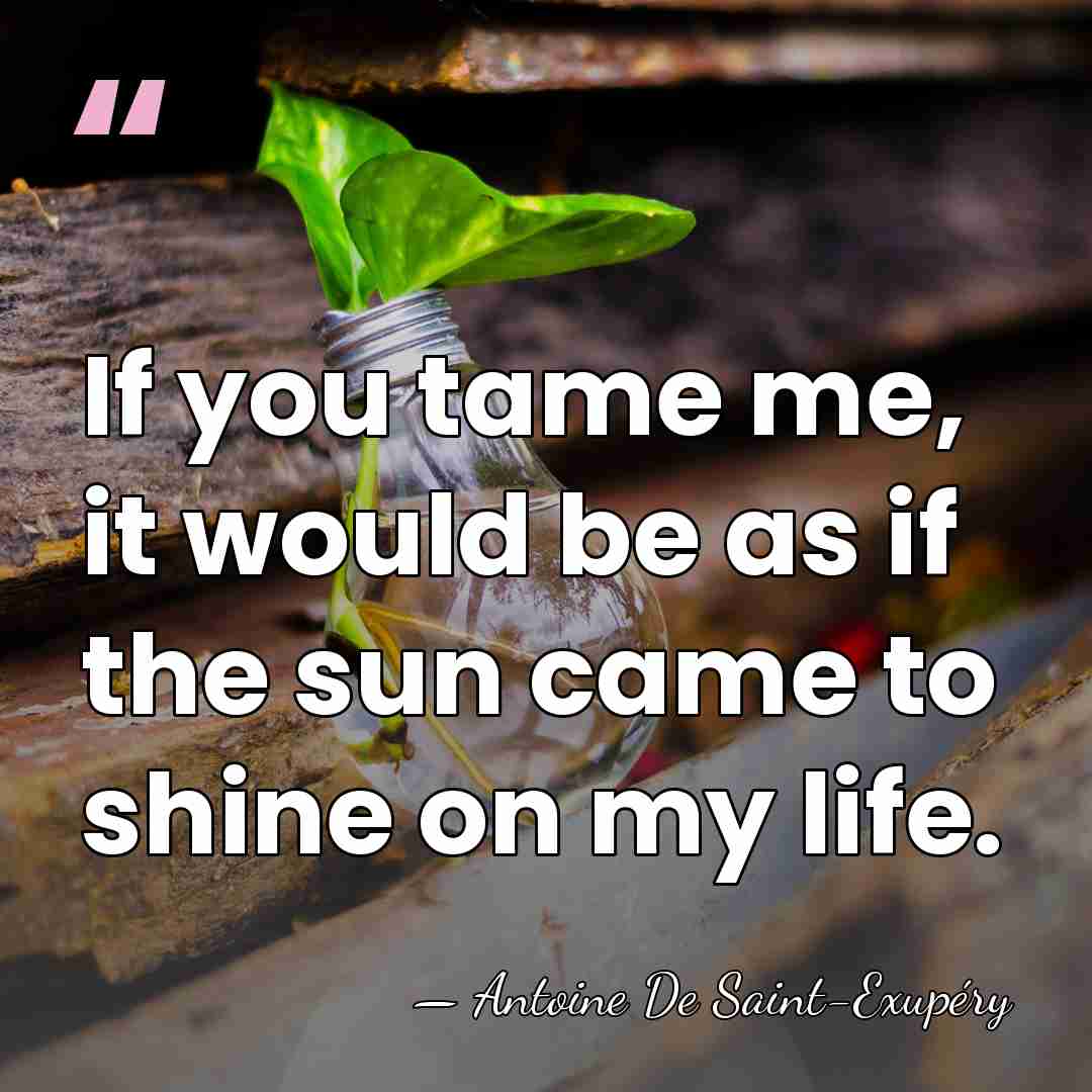 If you tame me, it would be as if the sun came&hellip; - Antoine De Saint-Exupéry