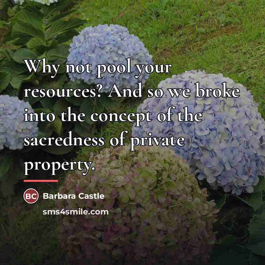 “Why not pool your resources? And so we broke into…” quote by Barbara Castle