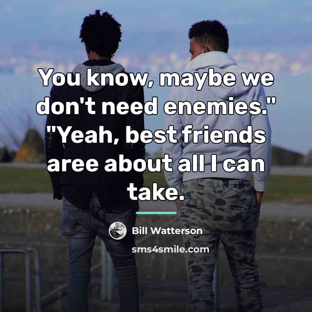 “You know, maybe we don't need enemies." "Yeah, best friends…” quote by Bill Watterson