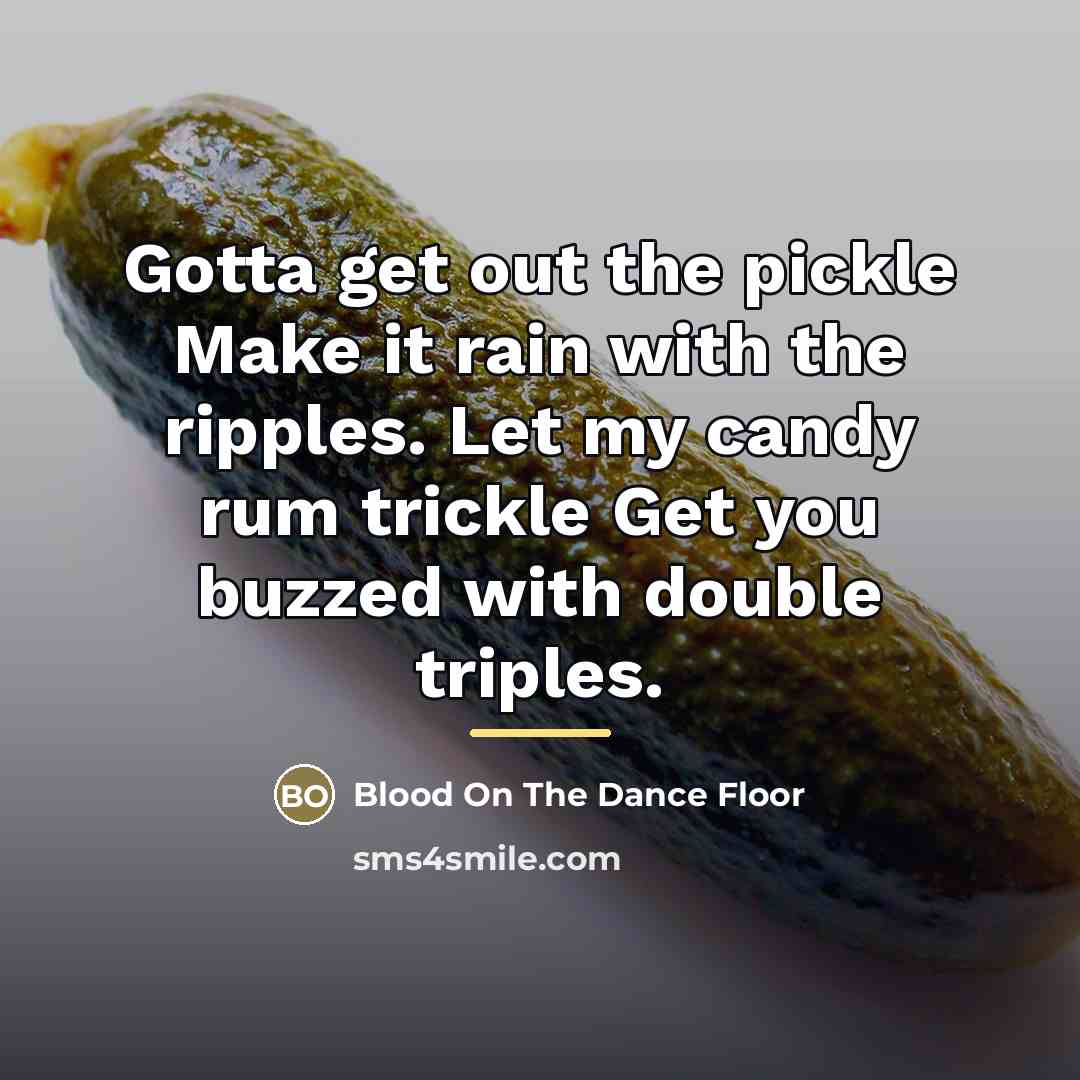 “Gotta get out the pickle Make it rain with the…” quote by Blood On The Dance Floor