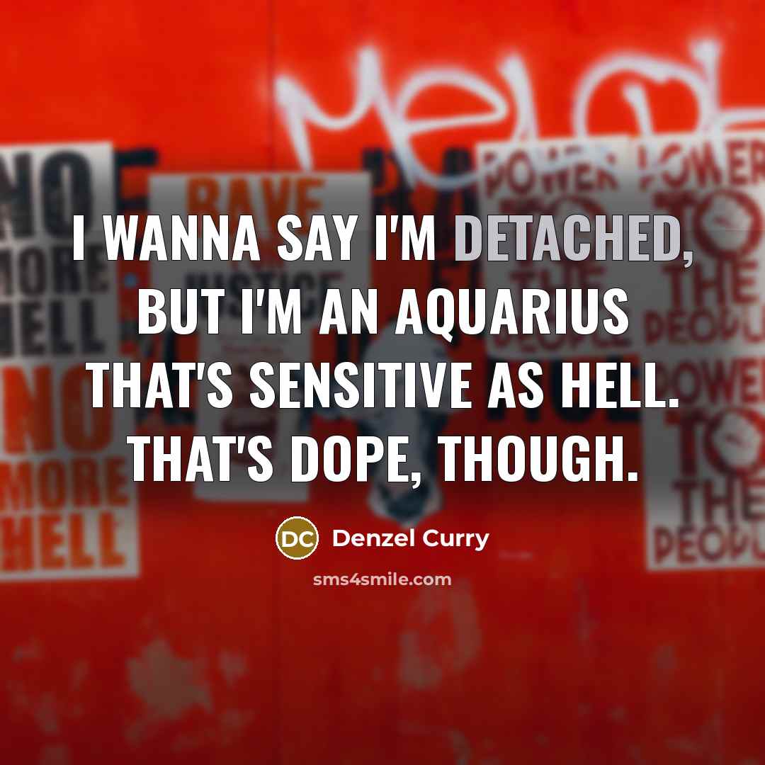 “I wanna say I'm detached, but I'm an Aquarius that's…” quote by Denzel Curry