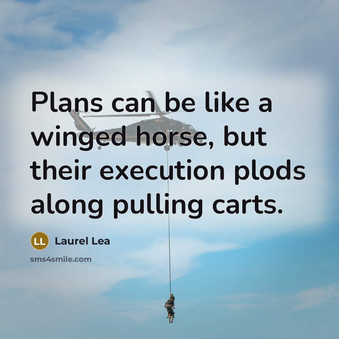 “Plans can be like a winged horse, but their execution…” quote by Laurel Lea