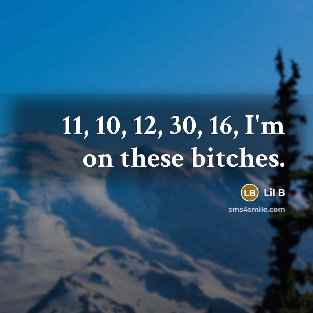 “11, 10, 12, 30, 16, I'm on these bitches.…” quote by Lil B
