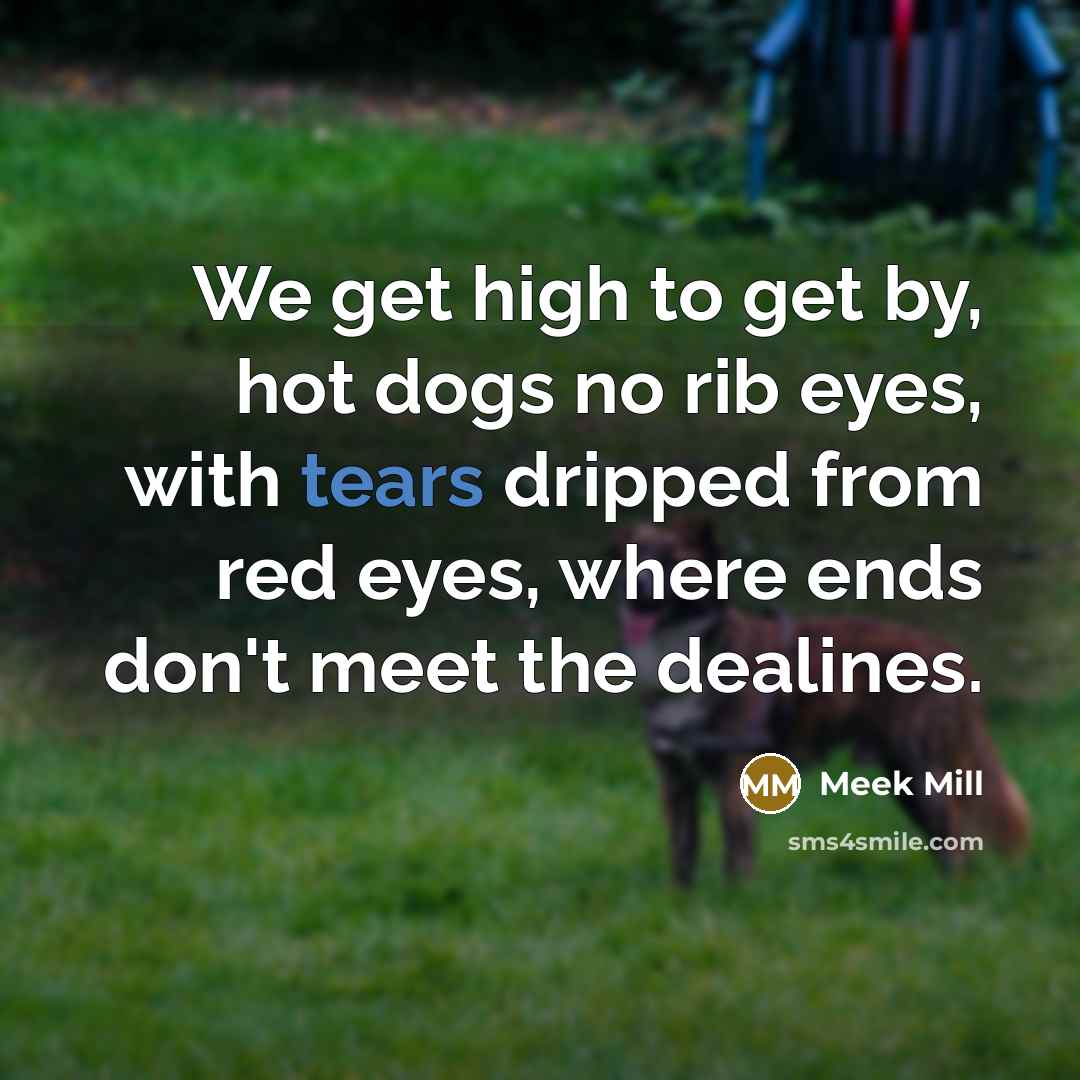 “We get high to get by, hot dogs no rib eyes, with tears dripped from red eyes, where ends don't meet the dealines.” quote by Meek Mill