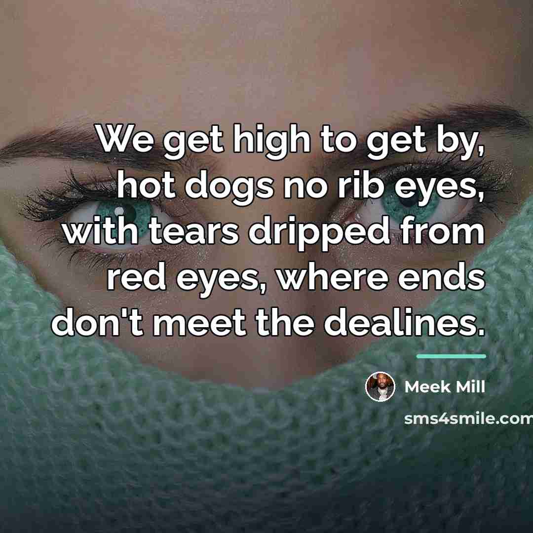 “We get high to get by, hot dogs no rib…” quote by Meek Mill